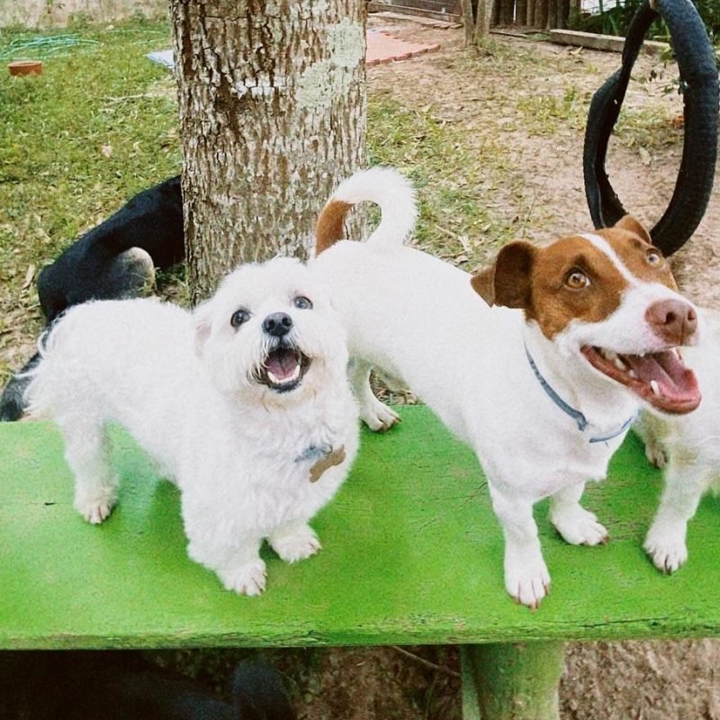 393598268_18027169741660258_3454715664775231992_n