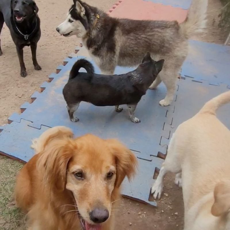 435242890_946395290528923_1540234098917499986_n