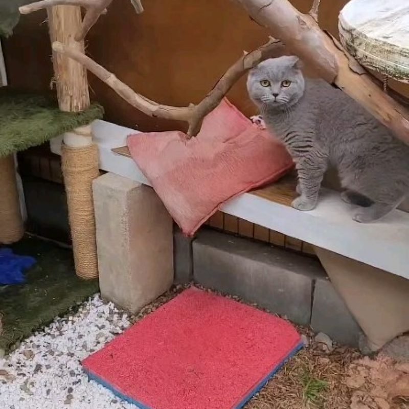 438620492_957353052215167_3831488763327947940_n